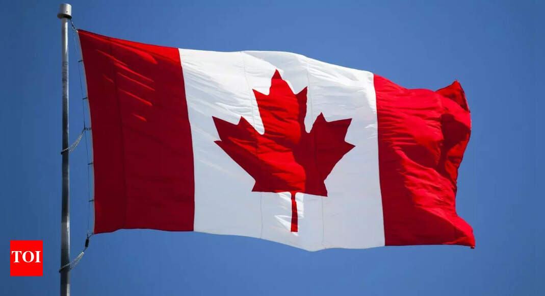 Canadians vote in an election dominated by Trump's trade war and bluster | World News